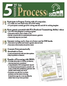 5 Reasons Process.jpg